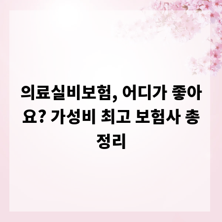 의료실비보험, 어디가 좋아요? 가성비 최고 보험사 총정리