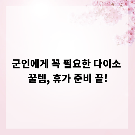군인에게 꼭 필요한 다이소 꿀템, 휴가 준비 끝!
