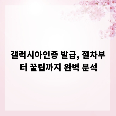 갤럭시아인증 발급, 절차부터 꿀팁까지 완벽 분석