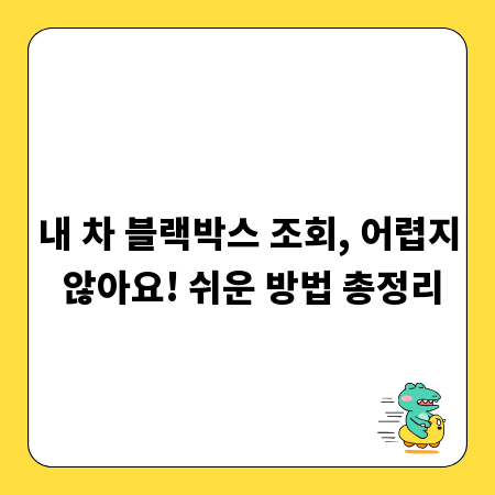 내 차 블랙박스 조회, 어렵지 않아요! 쉬운 방법 총정리