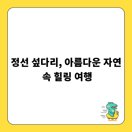 정선 섶다리, 아름다운 자연 속 힐링 여행