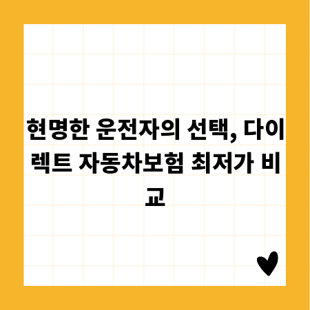 현명한 운전자의 선택, 다이렉트 자동차보험 최저가 비교