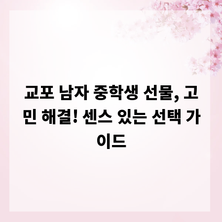 교포 남자 중학생 선물, 고민 해결! 센스 있는 선택 가이드