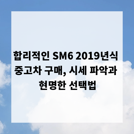 합리적인 SM6 2019년식 중고차 구매, 시세 파악과 현명한 선택법
