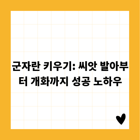 군자란 키우기: 씨앗 발아부터 개화까지 성공 노하우