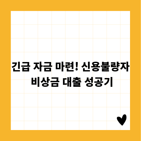 긴급 자금 마련! 신용불량자 비상금 대출 성공기
