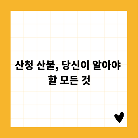 산청 산불, 당신이 알아야 할 모든 것