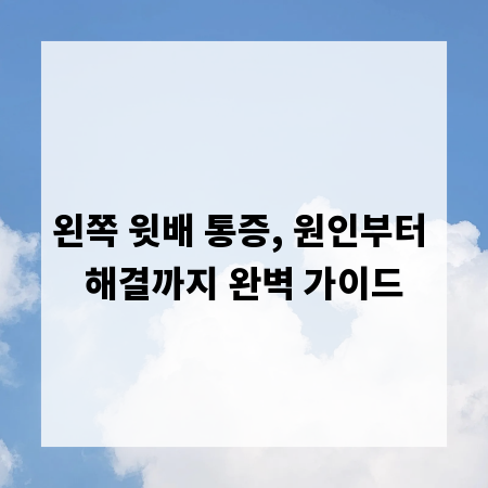 왼쪽 윗배 통증, 원인부터 해결까지 완벽 가이드