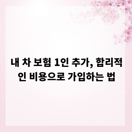내 차 보험 1인 추가, 합리적인 비용으로 가입하는 법
