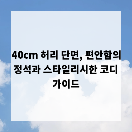 40cm 허리 단면, 편안함의 정석과 스타일리시한 코디 가이드