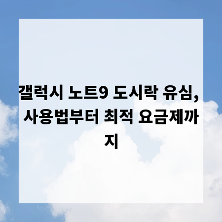 갤럭시 노트9 도시락 유심, 사용법부터 최적 요금제까지