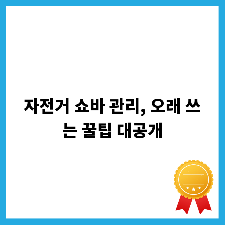 자전거 쇼바 관리, 오래 쓰는 꿀팁 대공개