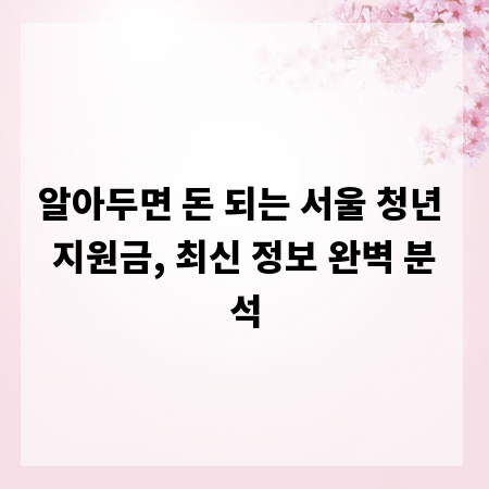 알아두면 돈 되는 서울 청년 지원금, 최신 정보 완벽 분석