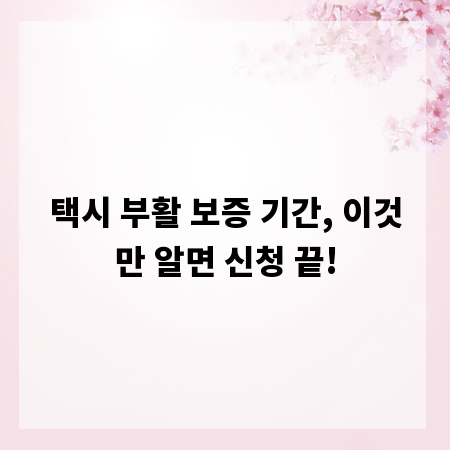 택시 부활 보증 기간, 이것만 알면 신청 끝!