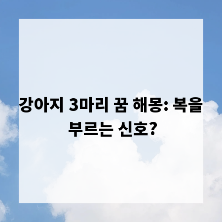 강아지 3마리 꿈 해몽: 복을 부르는 신호?