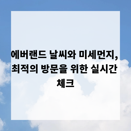 에버랜드 날씨와 미세먼지, 최적의 방문을 위한 실시간 체크