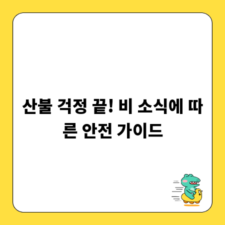 산불 걱정 끝! 비 소식에 따른 안전 가이드