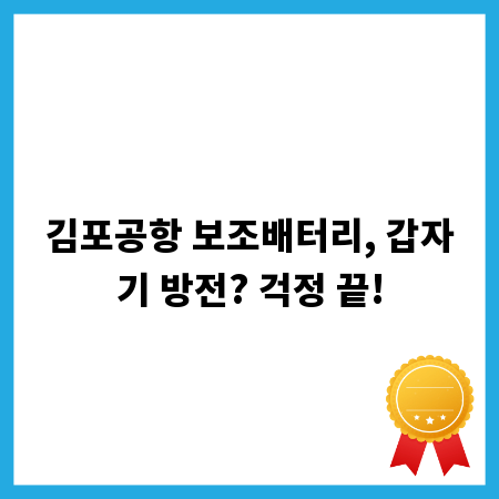 김포공항 보조배터리, 갑자기 방전? 걱정 끝!