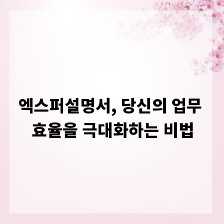 엑스퍼설명서, 당신의 업무 효율을 극대화하는 비법