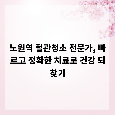 노원역 헐관청소 전문가, 빠르고 정확한 치료로 건강 되찾기