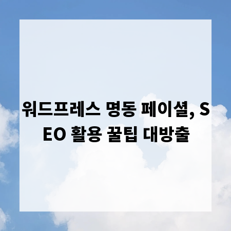 워드프레스 명동 페이셜, SEO 활용 꿀팁 대방출