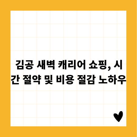 김공 새벽 캐리어 쇼핑, 시간 절약 및 비용 절감 노하우