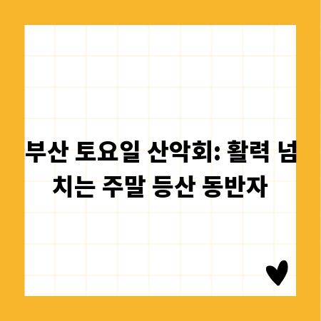 부산 토요일 산악회: 활력 넘치는 주말 등산 동반자