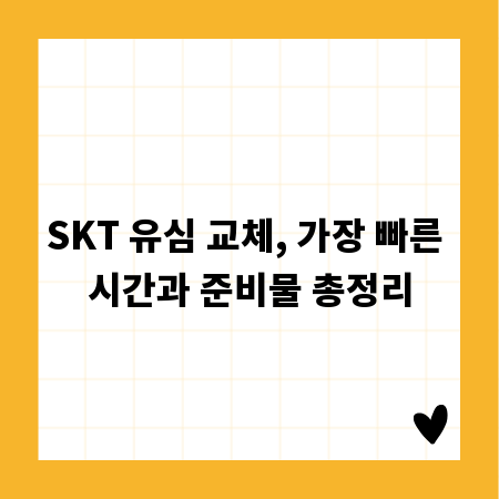 SKT 유심 교체, 가장 빠른 시간과 준비물 총정리