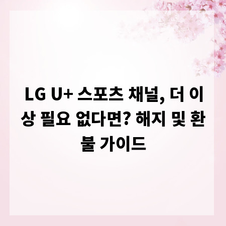 LG U+ 스포츠 채널, 더 이상 필요 없다면? 해지 및 환불 가이드