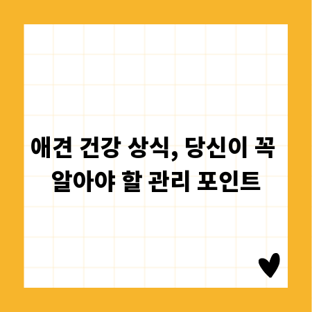 애견 건강 상식, 당신이 꼭 알아야 할 관리 포인트