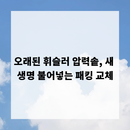 오래된 휘슬러 압력솥, 새 생명 불어넣는 패킹 교체