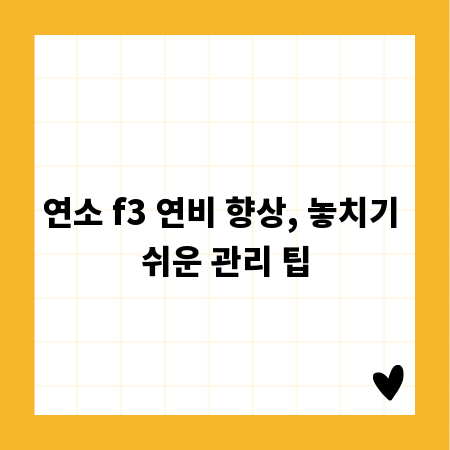연소 f3 연비 향상, 놓치기 쉬운 관리 팁