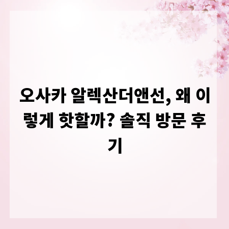 오사카 알렉산더앤선, 왜 이렇게 핫할까? 솔직 방문 후기