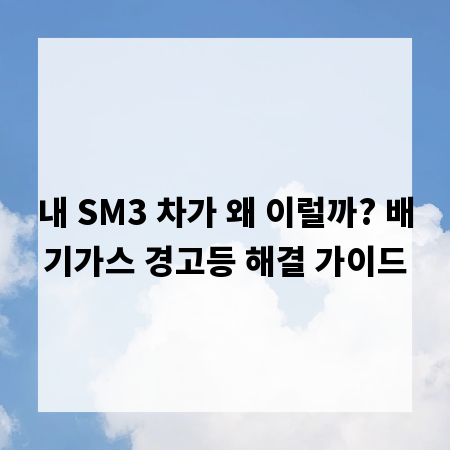 내 SM3 차가 왜 이럴까? 배기가스 경고등 해결 가이드