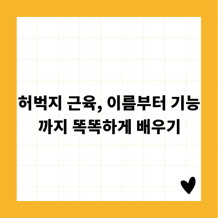 허벅지 근육, 이름부터 기능까지 똑똑하게 배우기