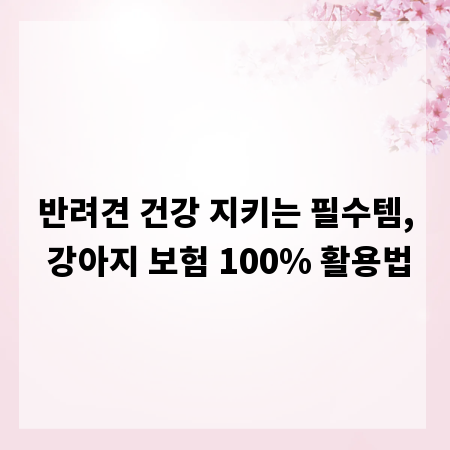 반려견 건강 지키는 필수템, 강아지 보험 100% 활용법