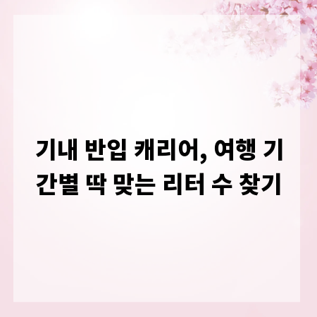 기내 반입 캐리어, 여행 기간별 딱 맞는 리터 수 찾기