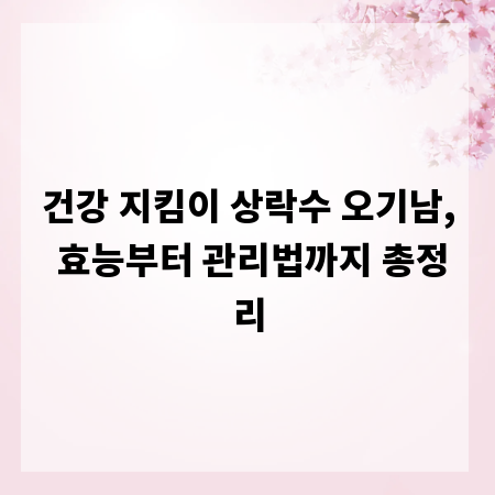건강 지킴이 상락수 오기남, 효능부터 관리법까지 총정리