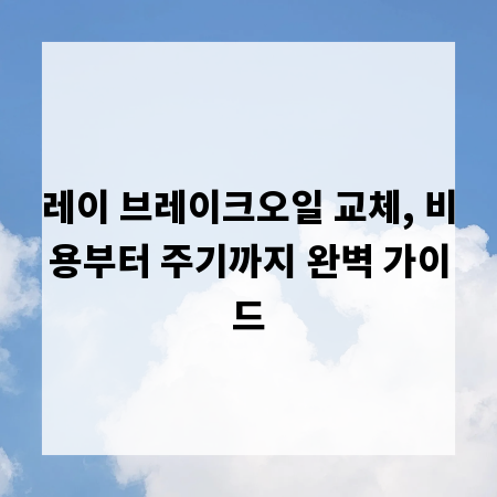 레이 브레이크오일 교체, 비용부터 주기까지 완벽 가이드