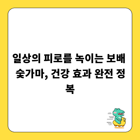 일상의 피로를 녹이는 보배 숯가마, 건강 효과 완전 정복