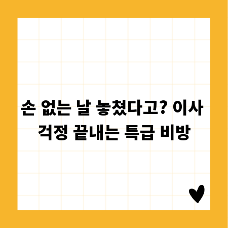 손 없는 날 놓쳤다고? 이사 걱정 끝내는 특급 비방