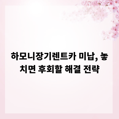 하모니장기렌트카 미납, 놓치면 후회할 해결 전략