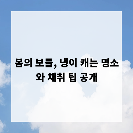 봄의 보물, 냉이 캐는 명소와 채취 팁 공개