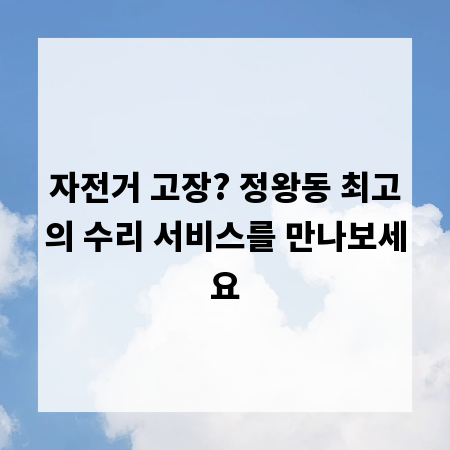 자전거 고장? 정왕동 최고의 수리 서비스를 만나보세요
