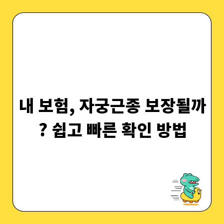 내 보험, 자궁근종 보장될까? 쉽고 빠른 확인 방법