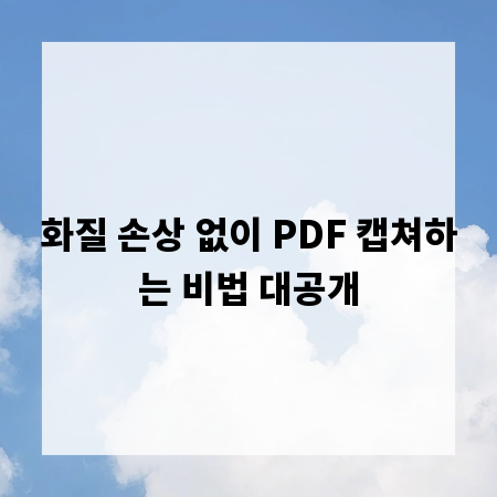 화질 손상 없이 PDF 캡쳐하는 비법 대공개