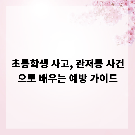 초등학생 사고, 관저동 사건으로 배우는 예방 가이드