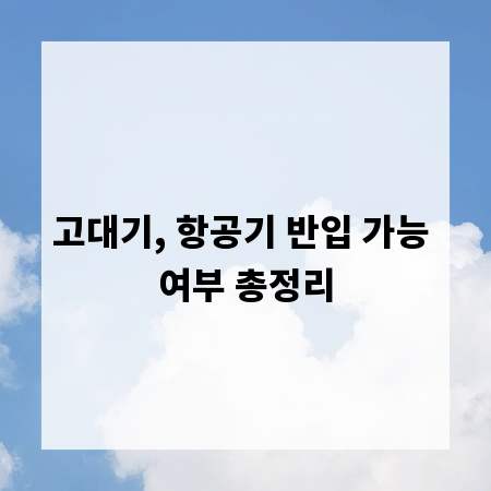고대기, 항공기 반입 가능 여부 총정리
