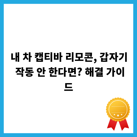 내 차 캡티바 리모콘, 갑자기 작동 안 한다면? 해결 가이드