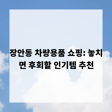 장안동 차량용품 쇼핑: 놓치면 후회할 인기템 추천